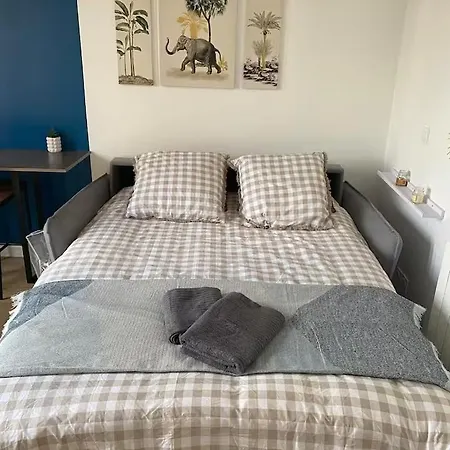 Apartamento Charming Close To Tram A Palais De Justice *