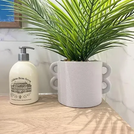 Charming Close To Tram A Palais De Justice